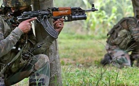 भास्कर अपडेट्स:जम्मू-कश्मीर के कुलगाम में एनकाउंटर शुरू, सर्च ऑपरेशन के दौरान जवानों पर फायरिंग हुई