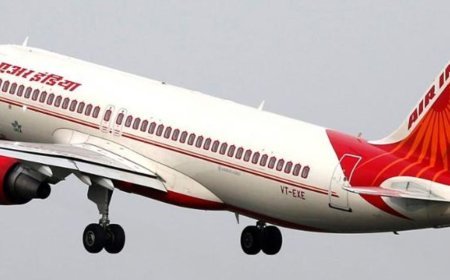 एअर इंडिया की सैन फ्रांसिस्को-मुंबई फ्लाइट में कॉकरोच मिले:केबिन क्रू ने यात्रियों की सीट बदली; एयरलाइन बोली- कीड़े कभी-कभी विमान में घुस जाते हैं