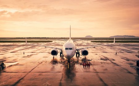 Spicejet: वरिष्ठ सैन्य अधिकारी ने श्रीनगर हवाई अड्डे पर चार कर्मचारियों से मारपीट की; एफआईआर दर्ज