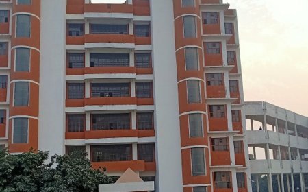 पानीपत में मनोनीत पार्षदों का शपथ ग्रहण समारोह आज:भाजपा जिलाध्यक्ष ने ली कानूनी सलाह, लघु सचिवालय में होगा कार्यक्रम