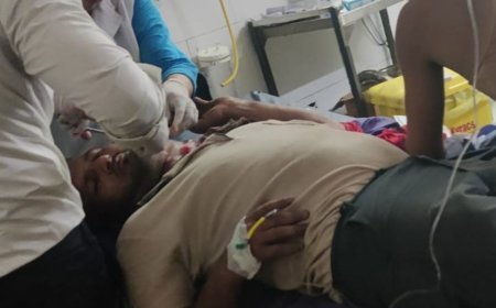 कैंटर की टक्कर से ऑटो सवार 15 लोग घायल:पलवल में कंपनी से छुट्टी के बाद लौट रहे थे, रास्ते में हादसा