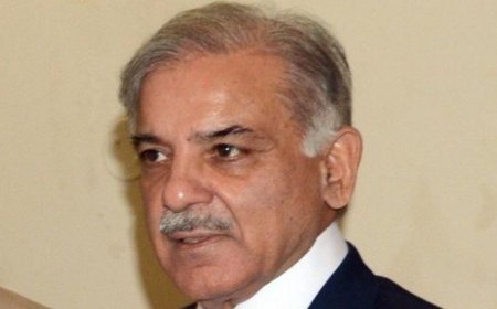 पाक पीएम शरीफ ने की पाकिस्तान में नई आर्मी रॉकेट फोर्स के गठन की घोषणा