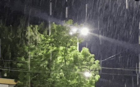 25 दिन से बारिश का इंतजार, फसलें जलने लगी:आधे बाड़मेर शहर में हल्की बरसात, सिस्टम एक्टिव होने से एक वीक बरसात की संभावना