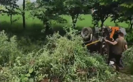 हरियाणा रोडवेज से टकराई कार, 4 लोगों की मौत:बठिंडा से कुरुक्षेत्र आ रहे थे, कैथल में बस से हुई टक्कर, गाड़ी पलटी