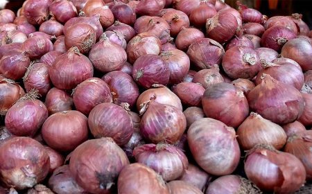 प्याज किसानों ने गैर-पारदर्शी खरीद के कारण नुकसान का आरोप लगाया