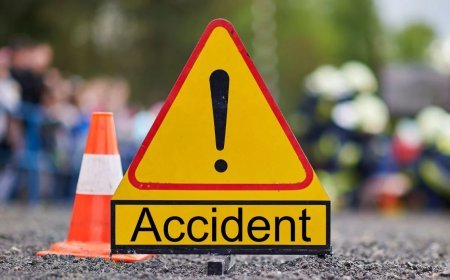 New York में मातम, पलटी टूर बस, भारतीय समेत 5 की मौत, 54 जख्मी