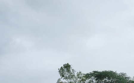 धीमी पड़ी बारिश, चिपचिपा मौसम बना लोगों की परेशानी:चित्तौड़गढ़ में 26 अगस्त तक बरसात होने की संभावना, येलो अलर्ट जारी