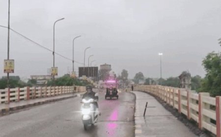 2 दिन तेज बारिश का अलर्ट, आज स्कूलों में छुट्टी:4 इंच बारिश के बाद रेलवे पटरियों पर आया पानी, नानी गांव के सरकारी स्कूल में घुसा पानी