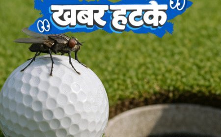 खबर हटके- मक्खी ने खिलाड़ी को ₹8 करोड़ जिताए:रेस्टोरेंट के मेन्यू में कई देशों का पानी; जानिए ऐसी ही 5 रोचक खबरें