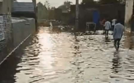 बरवाला के वार्ड 18 में जलभराव से आफत:3 दिन की बारिश से घरों में घुसा पानी, दीवारों में दरारें; लोगों में दहशत