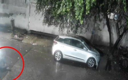 दिल्ली में नाबालिग ने कार से टक्कर के बाद घसीटा:युवक की मौत; इंजन के नीचे फंसा था, आरोपी जानता था लेकिन गाड़ी नहीं रोकी