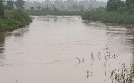 जाखल में घग्घर नदी के जलस्तर में उतार-चढ़ाव:गुहला चीका में 4928 क्यूसिक बढ़ा पानी, किसानों की बढ़ी चिंता