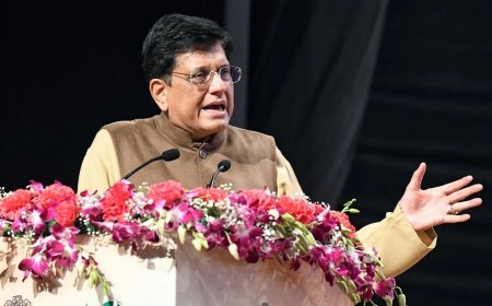 बड़े स्थानीय बाजार की बदौलत भारतीय उद्योग जगत सहज स्थिति में: गोयल