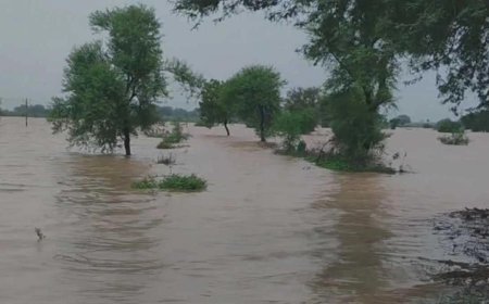 Weather Update : हिमाचल में बाढ़ ने मचाई तबाही, अब तक 320 लोगों की मौत, 3000 करोड़ से ज्यादा का नुकसान