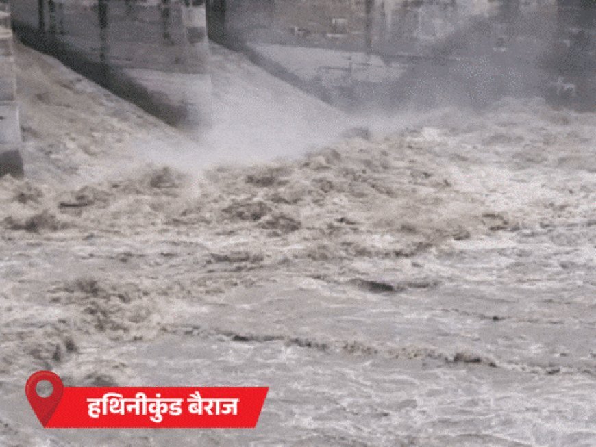 घग्गर का जलस्तर बढ़ा, प्रशासन का अलर्ट:सांप ने 3 साल का बच्चा डसा; रोहतक में युवक डूबा; मोरनी हिल्स में लैंडस्लाइड