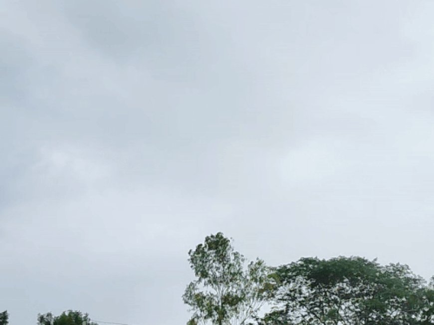 धीमी पड़ी बारिश, चिपचिपा मौसम बना लोगों की परेशानी:चित्तौड़गढ़ में 26 अगस्त तक बरसात होने की संभावना, येलो अलर्ट जारी