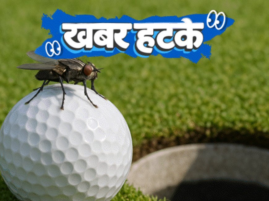 खबर हटके- मक्खी ने खिलाड़ी को ₹8 करोड़ जिताए:रेस्टोरेंट के मेन्यू में कई देशों का पानी; जानिए ऐसी ही 5 रोचक खबरें