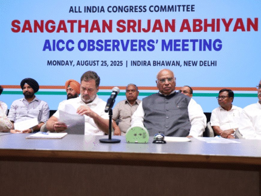 पंजाब में कांग्रेस के जिला प्रधान जल्दी होंगे नियुक्त:राहुल गांधी की सीनियर नेताओं से मीटिंग, 1 सितंबर से संभाल सकते हैं जिम्मेदारी