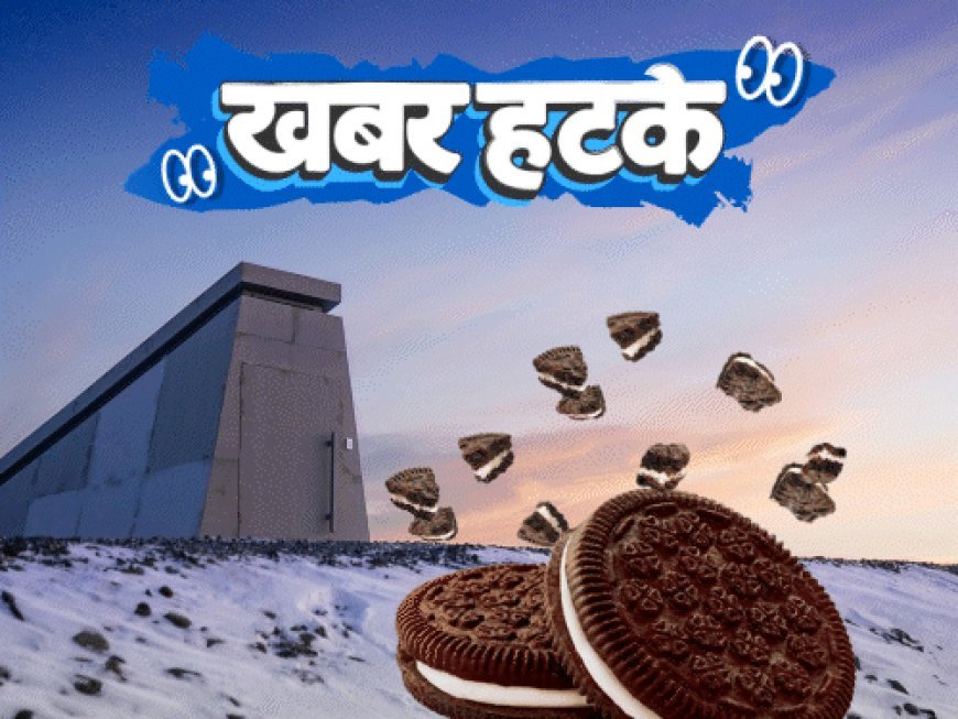 खबर हटके-बिस्किट बनाने वाली कंपनी का सीक्रेट बंकर:2 साल से नहीं सोया शख्स, नींद की तलाश में भारत आया; ग्राफिक्स में 5 रोचक खबरें