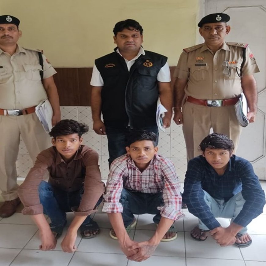 फरीदाबाद में बाइक लूटने वाले 3 दोस्त अरेस्ट:मथुरा-दिल्ली रोड पर मोटरसाइकिल सवार को रोका, पर्स और मोबाइल छीनकर भागे थे