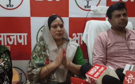 नारनौल में भाजपा कार्यकर्ता करवाएंगे लाडो लक्ष्मी योजना का आवेदन:सफल बनाने के लिए महिला मोर्चा व संगठन के लोग जाएंगे घर-घर