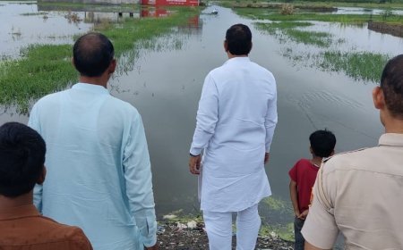 नूंह MLA ने जलभराव प्रभावित गांवों का किया दौरा:आफताब बोले- पोर्टल की बजाय विशेष गिरदावरी कराए, स्कूलों की हो छुट्टी
