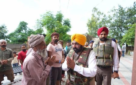 CM भगवंत सिंह मान ने फिरोजपुर के बाढ़ प्रभावित क्षेत्रों का दौरा किया, केंद्र सरकार से मुआवजा बढ़ाने की मांग की