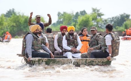 Punjab floods : 4 दशक की सबसे भीषण बाढ़ से जूझता पंजाब, 2.56 लाख लोग चपेट में, 29 की मौत, पानी में बहते पशु, छतों पर टेंटों में गुजरती रातें, क्यों जलमग्न है 'रोटी की टोकरी'