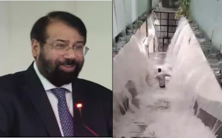 Delhi Metro को देख हर्ष गोयनका को क्यों याद आई नियाग्रा फॉल