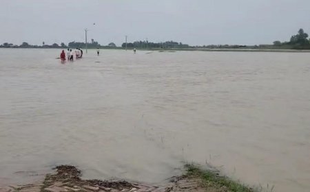 पंजाब से जम्मू तक बाढ़ ने मचाई तबाही, LOC पर 110 KM लंबी बाड़ और 90 BSF चौकियां जलमग्न