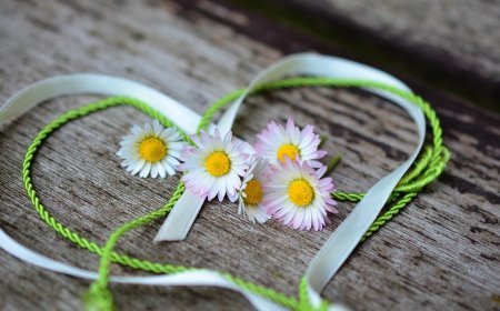 Love Horoscope For 7 September 2025 | आज का प्रेम राशिफल 7 सितम्बर | प्रेमियों के लिए कैसा रहेगा आज का दिन