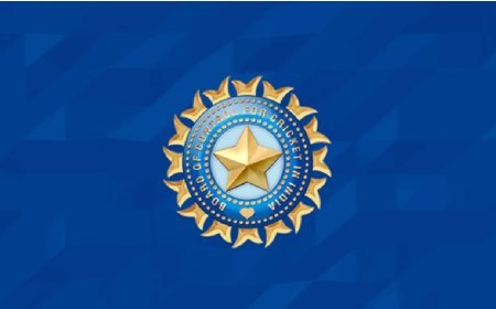 बीसीसीआई ने पिछले वित्त वर्ष में 4,193 करोड़ रुपये कमाए : रिपोर्ट