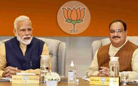 उपराष्‍ट्रपति चुनाव से पहले क्यों रद्द हुई NDA सांसदों की डिनर पार्टी? क्या पंजाब की बाढ़ बनी वजह?