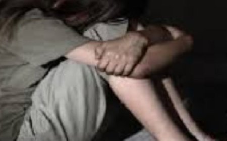 नाबालिग से दुष्कर्म के दोषी को 20 साल की जेल:65 हजार रुपए जुर्माना लगाया, घर से बहला-फुसलाकर ले गया था