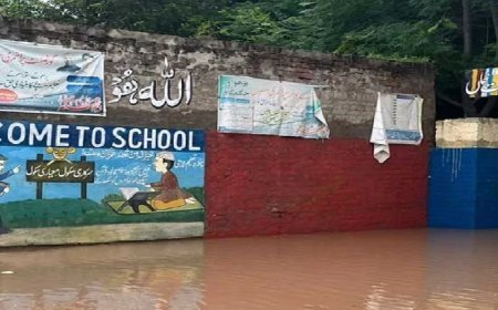 पाकिस्तान में बाढ़ ने शासन की खामियों को एक्सपोज करके रख दिया, नागरिक बेबस, परेशान