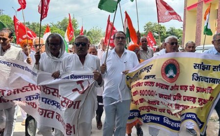 पलवल में 50 हजार प्रति एकड़ मुआवजे की मांग:किसानों ने 15 हजार को नाकाफी बताया; बोले-खरीफ की फसल पूरी तरह नष्ट हो चुकी