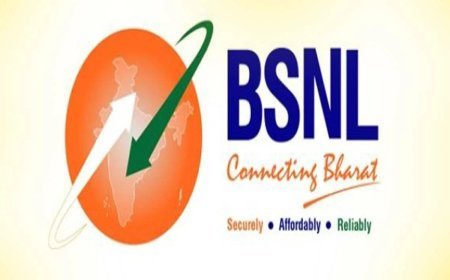 महाराष्ट्र सरकार ने बीएसएनएल को मोबाइल टावर के लिए 930 गांवों में भूमि आवंटित की
