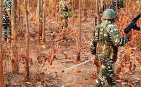 भास्कर अपडेट्स:जम्मू-कश्मीर के डोडा में 3 आतंकियों के छिपे होने की सूचना, पुलिस और सेना का सर्च ऑपरेशन जारी