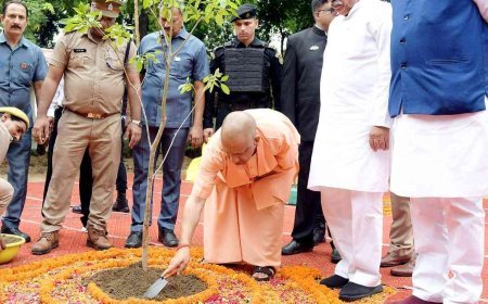 सेवा पर्व को 'स्वच्छ उत्सव' के रूप में भी मनाएगा वन विभाग