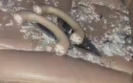 अंबाला में सिंगर परमीश वर्मा चोटिल:मूवी SHERA की शूटिंग दौरान टूटा कार का शीशा,चेहरे पर लगा कांच