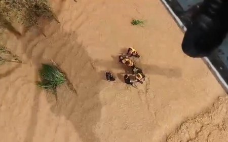 मराठवाड़ा में भारी बारिश से हाहाकार, वायुसेना और सेना ने फंसे लोगों को सुरक्षित स्थानों पर पहुंचाया