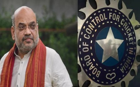 कौन होगा BCCI का नया अध्यक्ष? अमित शाह के साथ मीटिंग में होगा साफ