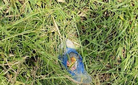 सीतापुर में बेटी को बाघ ले जाने की कहानी गढ़ी:मां ने प्रेमी संग फरार होने की बात स्वीकारी, केस दर्ज,लोकलाज के चलते गढ़ी कहानी,युवती ओर प्रेमी की तलाश में पुलिस
