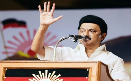 जर्मनी के निवेशक तमिलनाडु के बुनियादी ढांचे, कार्यबल से प्रभावित: मुख्यमंत्री