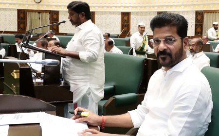 तेलंगाना के मुख्यमंत्री ने विश्व आर्थिक मंच के प्रमुख ब्रेंडे से की मुलाकात