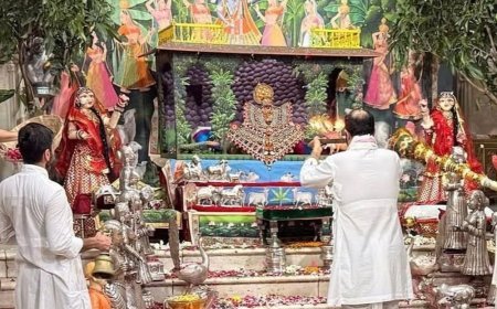 राजसमंद में श्रीनाथजी मंदिर में पहली बार जल सांझी दर्शन:15 दिनों से सांझी का क्रम आज पूरा हुआ