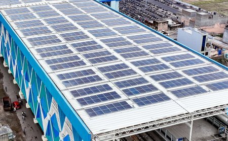 ACME Solar को SBI से 1100 करोड़ का सहारा, 300 MW हरित ऊर्जा परियोजना को नई उड़ान
