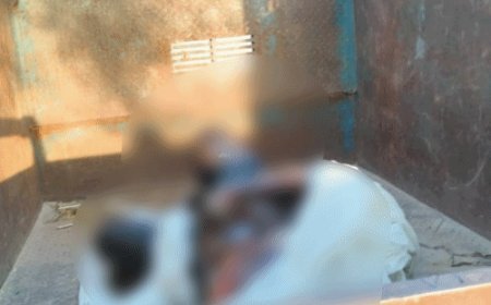 कोटपूतली-बहरोड़ में दो कुओं में मिले गले-सड़े शव:यूपी से जनरेटर खरीदने जयपुर जा रहे थे, 19 सितंबर को बलिया में दर्ज हुई थी लापता रिपोर्ट