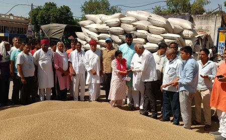 महेंद्रगढ़ विधायक ने अनाज मंडी का लिया जायजा:किसानों की सुनीं समस्याएं, अधिकारियों को समय पर भुगतान के निर्देश