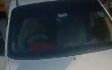 फरीदाबाद में 50 किलो मांस के साथ दो युवक काबू:कार से दिल्ली ले जा रहे थे, डॉक्टर से जांच करवाने पर खुलासा